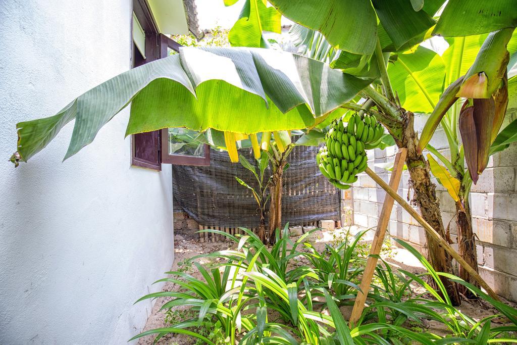 Red Flower Cottages Homestay Hoi An Bagian luar foto