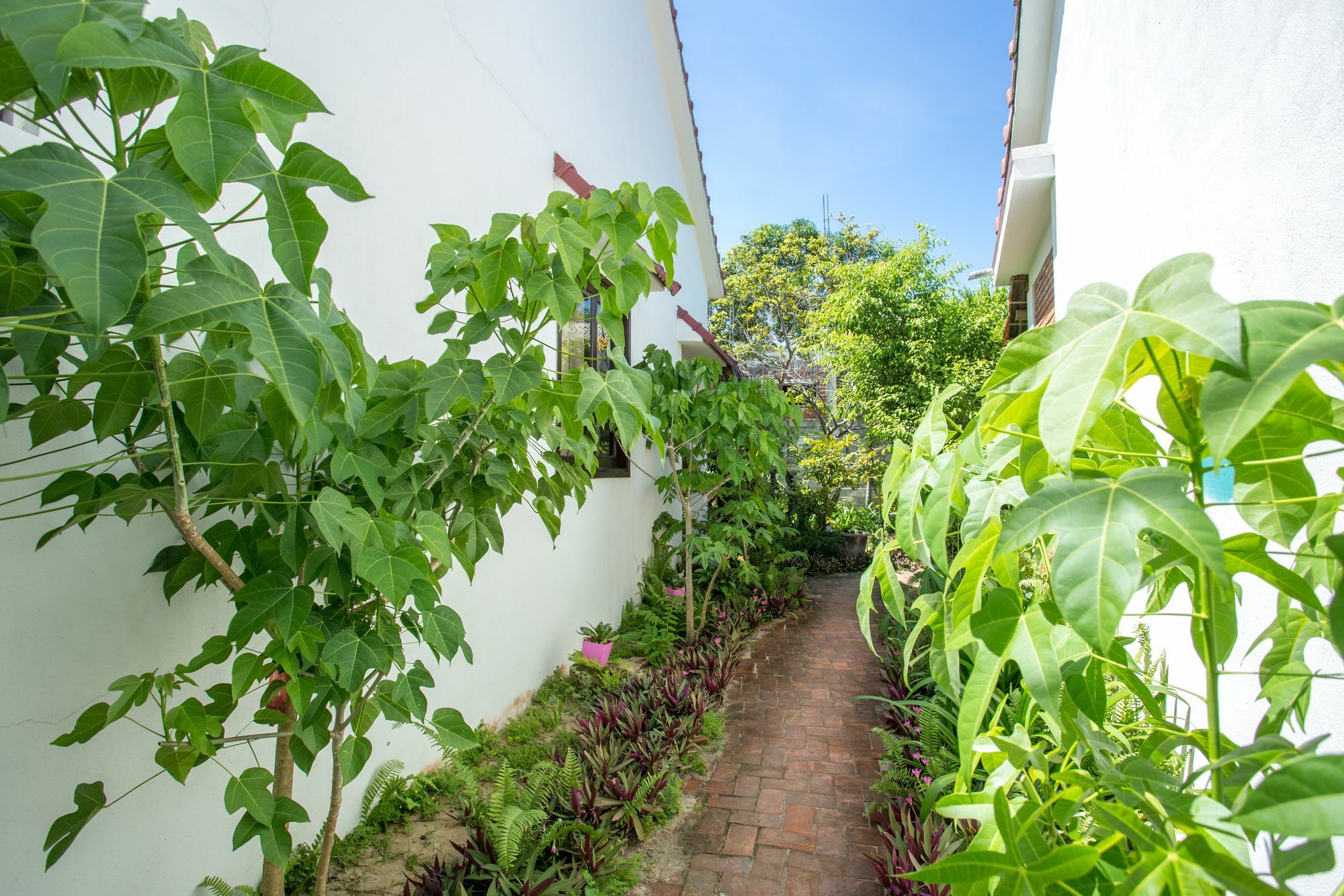 Red Flower Cottages Homestay Hoi An Bagian luar foto
