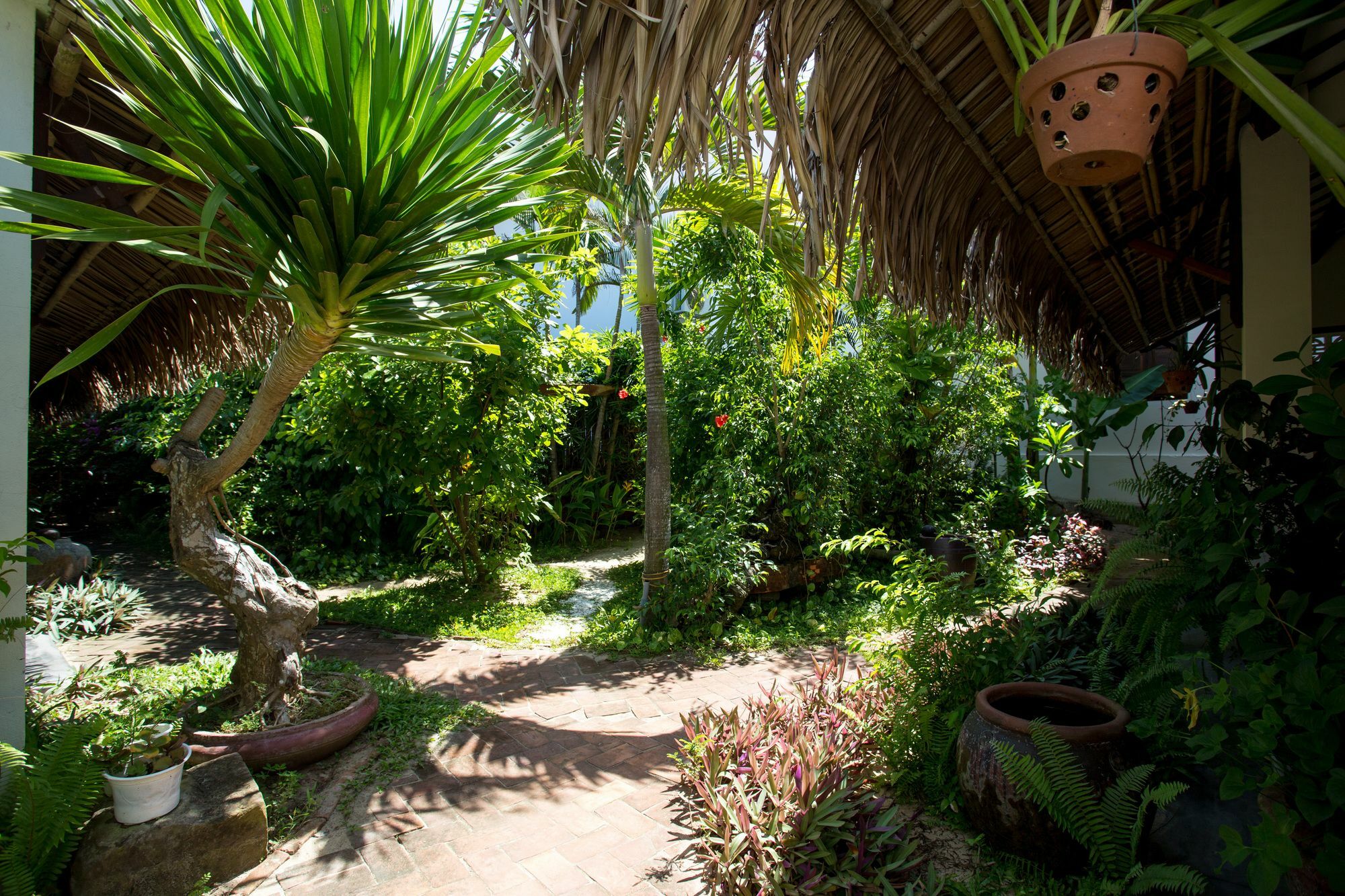 Red Flower Cottages Homestay Hoi An Bagian luar foto